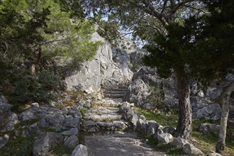 Path along a rocky terrain surrounded by trees in the forest, Kastro Monolithou, Monolithos Castle,