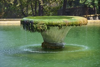 A moss-covered fountain in the centre of a green expanse of water surrounded by trees, Italian