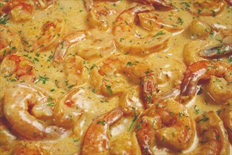 Shrimp in creamy garlic sauce, with spices and herbs