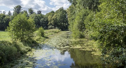 The River Dinkel near Legden, Münsterland, North Rhine-Westphalia, Germany, Europe