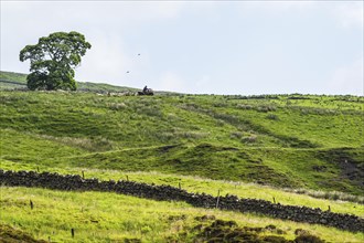 Farms over North Pennines, Cumbria, Durham, Northumberland, North Yorkshire, England, United