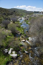 River with rocks and vegetation in a green valley under a blue sky with clouds and mountains,