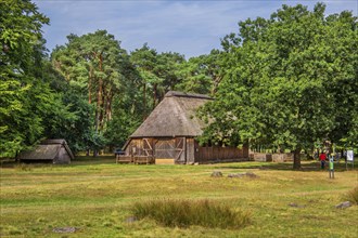 Old sheepfold, Schneverdingen, Lüneburg Heath, Lower Saxony, Germany, Europe