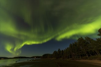 Northern lights, (Aurora borealis) at a lake near Kiruna, September 2024, Lapland, Sweden, Europe