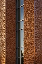 Facade of a building inspired by the skin of a cactus showcasing natural methods of heat regulation