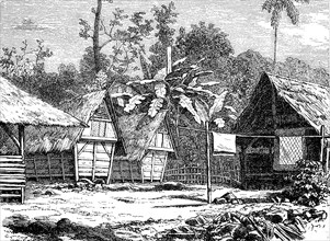 Village street in Buitenzorg, today Bogor, on the island of Java, Indonesia, in 1860, Historical,