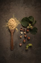 Wooden spoon, with hazelnut flour, on a brown table, top view, no people