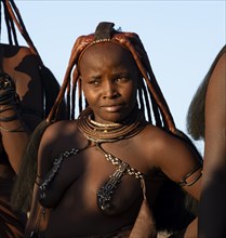 Traditional Himba woman, portrait, in the evening light, near Opuwo, Kaokoveld, Kunene, Namibia,