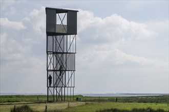 Birdwatching Tower, contemporary architecture, Tipperne birdwatching station, Ringkøbing Fjord,