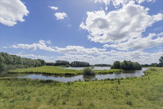 Steinhorst Basin, nature reserve, nature, Ems, tourism, landscape, Delbrücker Land, Steinhorst,