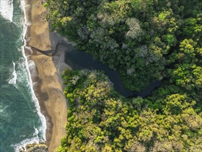 Aerial view, top-down, rainforest, sandy beach and coast with waves, Playa Cocalito, Puntarenas,