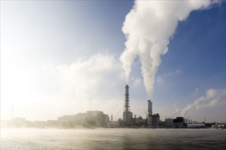 BASF plant site on the banks of the Rhine, chemical company, foggy mood, Ludwigshafen,