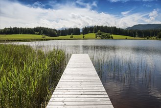 Jetty, Attlesee, near Nesselwang, Oberallgäu, Allgäu, Swabia, Bavaria, Germany, Europe