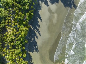 Top-down aerial view, ocean and coast with rainforest, Playa Ventanas, Puntarenas Province, Costa