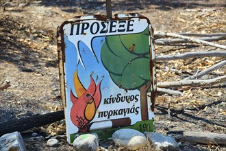 Faded warning sign about fire danger amidst burnt vegetation, forest fires, summer 2023, forest