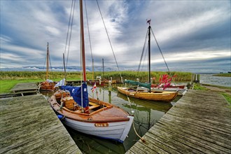 Sailing boats in Althagen harbour on the Saaler Bodden, evening mood, Ahrenshoop,