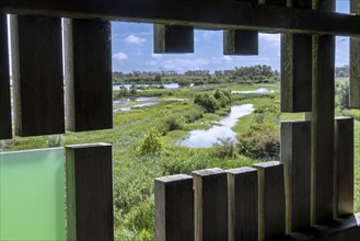 View from bird hide over nature reserve De Blankaart, freshwater marshland managed by Natuurpunt at