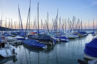 Sailing boats in the evening at the blue hour, marina harbour, Bernried, Lake Starnberg, Upper