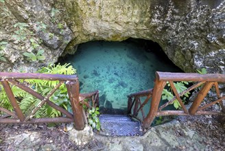 Scenic Cenote Casa Tortuga near Tulum and Playa Del Carmen, a popular tourist attraction for local