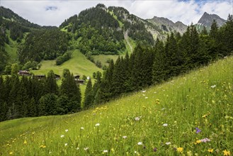 Mountain farming village, Gerstruben, Dietersbachtal, near Oberstdorf, Allgäu Alps, Allgäu,