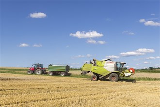 Combine harvester harvesting grain, Harvesting wheat, Tractor, Baden-Württemberg, Germany, Europe