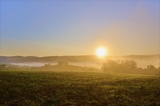 Sunrise over a foggy corn field with hills and trees in the background in a quiet atmosphere,