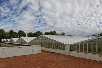 Elongated greenhouse with glass roof under a partly cloudy sky and green trees in the background,