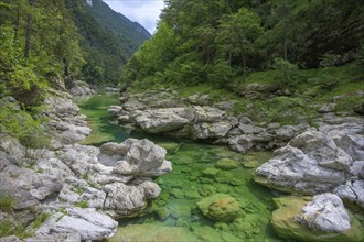 Emerald green river Pozze Smeraldine, Tramonti di Sopra, Province of Pordenone, Italy, Europe