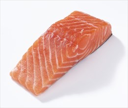 Salmon (Salmo), salmon fillet, portioned, on white background, studio shot