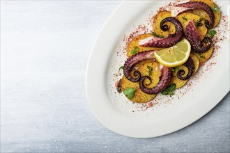 Octopus with potatoes and spices, on a light plate, top view, no people, homemade, close-up