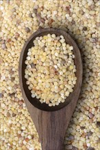 Fregola, pasta variety from Sardinia, Italy, Europe