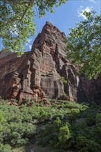 Rugged sandstone rock formation along the Weeping Rock Trail in Zion National Park, Utah