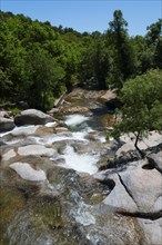 A picturesque river flowing over rocks, surrounded by green trees on a sunny day, Piscina natural,