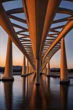 Modern bridge design concept showcasing the spiral patterns found in seashells, AI generated