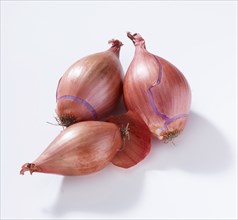 3 common onions (Allium cepa), on white background, studio shot