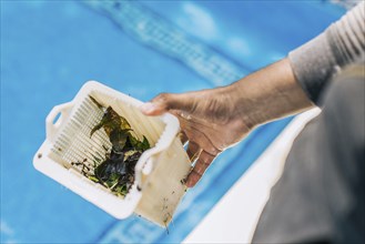 Hand holding swimming pool filter basket. Man cleaning garbage filter basket for swimming pool