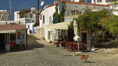 Cosy street with a café and shops, surrounded by white buildings, patio furniture and a dog running