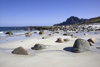 Sandy beach beach near Bleik on Vesteralen, Norway, many stones on the beach, Norway, Europe