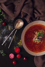 Traditional Georgian dish spicy tomato, Kharcho soup, on a dark background, no people, top view