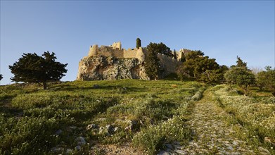 Morning light, St John's fortress, ascent to the Acropolis, Lindos, green meadows, Rhodes,