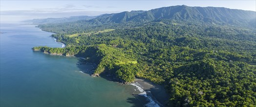 Aerial view, ocean and coast with rainforest, Playa Ventanas, Puntarenas province, Costa Rica,