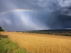 Dark dramatic storm clouds and rainbow over wheat field in the evening light, Burgenlandkreis,