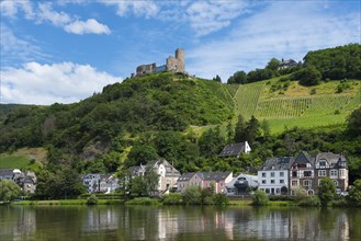 Picturesque landscape with castle ruins on a hill, surrounded by vineyards and traditional