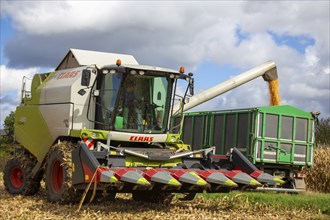 Maize harvest in the Vorderpfalz