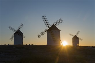 Three windmills in the sunrise light, dominating the gentle peaceful landscape, Campo de Criptana,