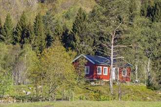 Typical red and white wooden norwegian house, near Cape Lindesnes at the Lenefjord, Norway, Europe