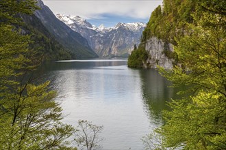 Königssee with Schönfeldspitze, Schönau am Königssee, Berchtesgadener Land, Bavaria, Germany,