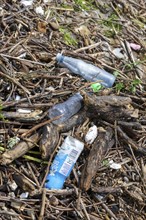 Symbolic image environmental pollution, plastic waste, rubbish, flotsam from a flood on the Neckar