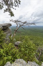 Overlook along the Pulpit Rock Trail in Cheaha State Park, Alabama, USA, North America