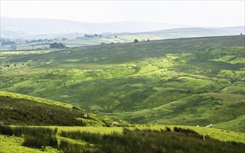 Farms over North Pennines, Cumbria, Durham, Northumberland, North Yorkshire, England, United